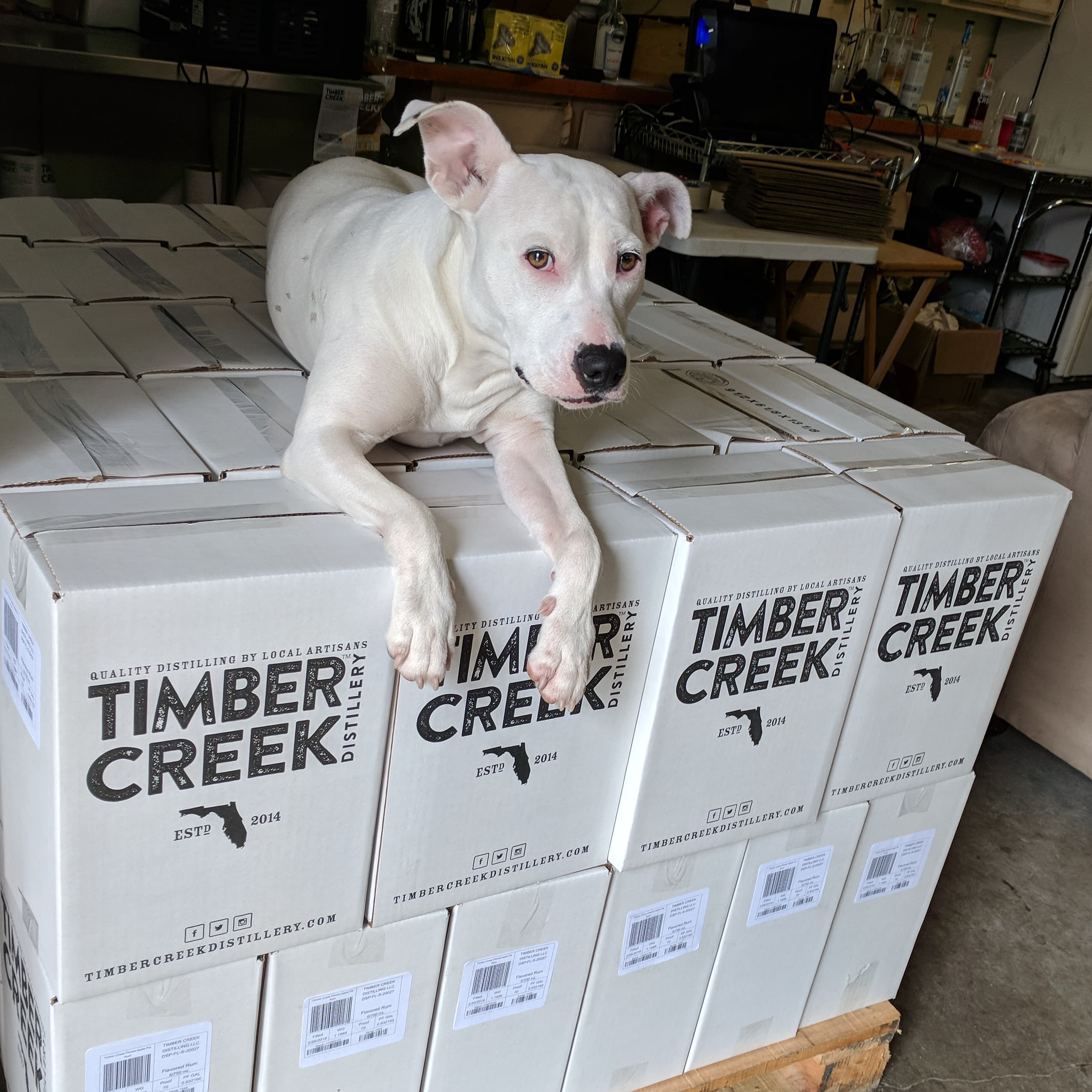 Ghost on Boxes of booze
