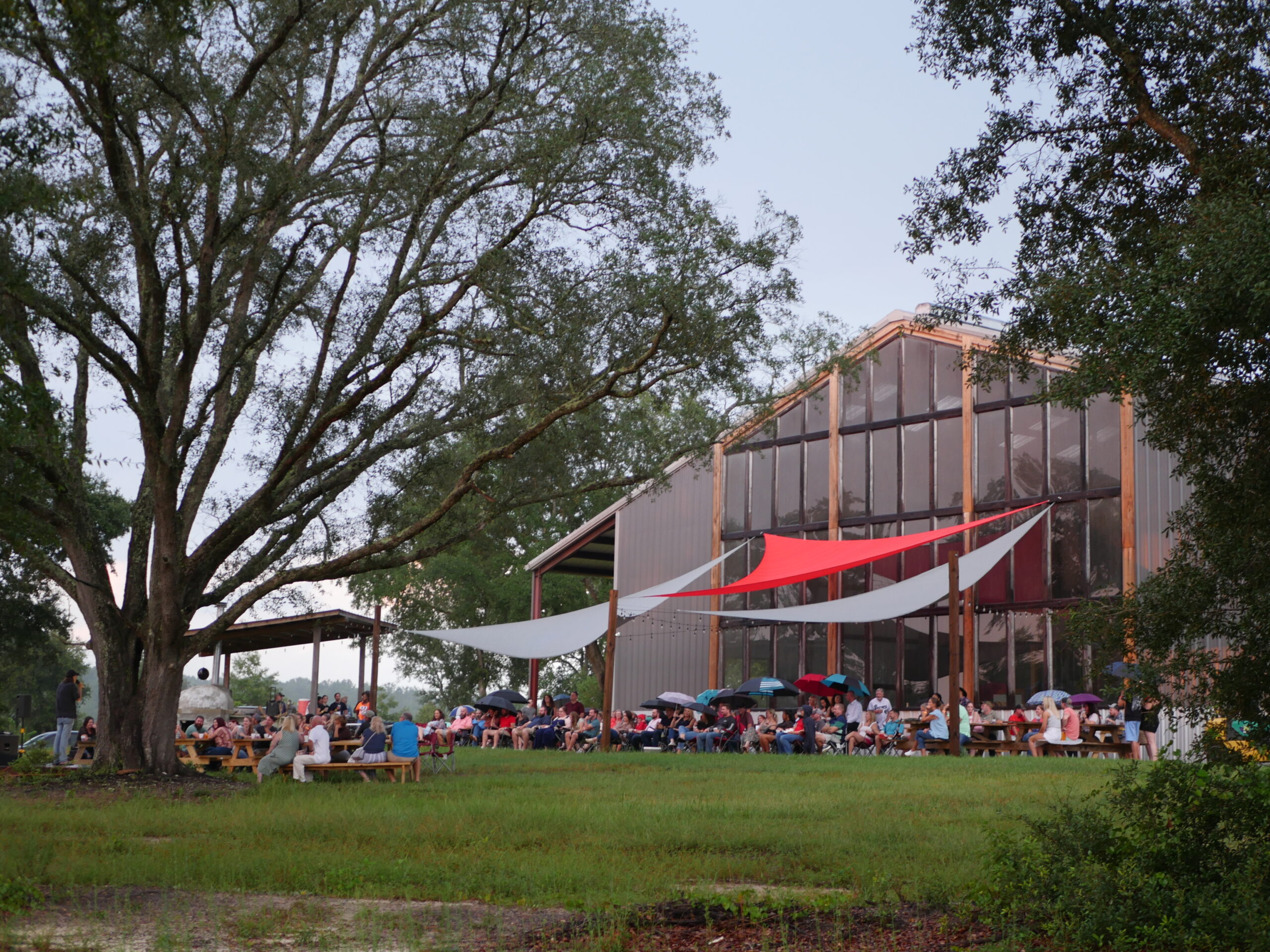 differnet angle back of distillery with old white oak in foreground. large crowd facing the camera watching a comedy show.